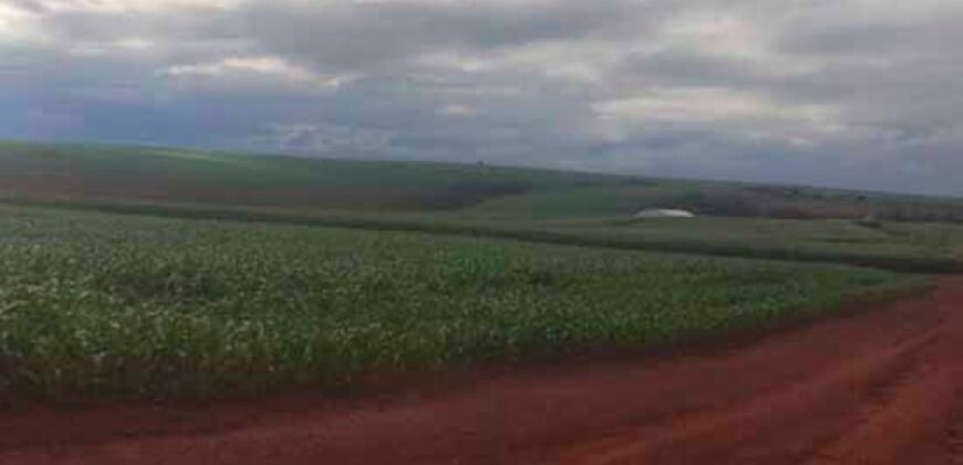 Oportunidade única: Fazenda deslumbrante com 623 alqueires | Campina da Lagoa/ PR