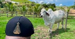 Linda Fazenda com Estrutura de laser completa 206 has Represa e água mineral | Guaratinguetá/ SP Linda Fazenda com Estrutura de laser completa 206 has Represa e água mineral | Guaratinguetá/ SP