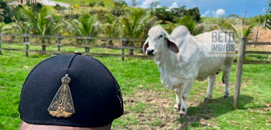 Linda Fazenda com Estrutura de laser completa 206 has Represa e água mineral | Guaratinguetá/ SP Linda Fazenda com Estrutura de laser completa 206 has Represa e água mineral | Guaratinguetá/ SP