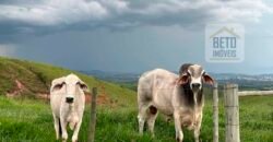 Linda Fazenda com Estrutura de laser completa 206 has Represa e água mineral | Guaratinguetá/ SP Linda Fazenda com Estrutura de laser completa 206 has Represa e água mineral | Guaratinguetá/ SP