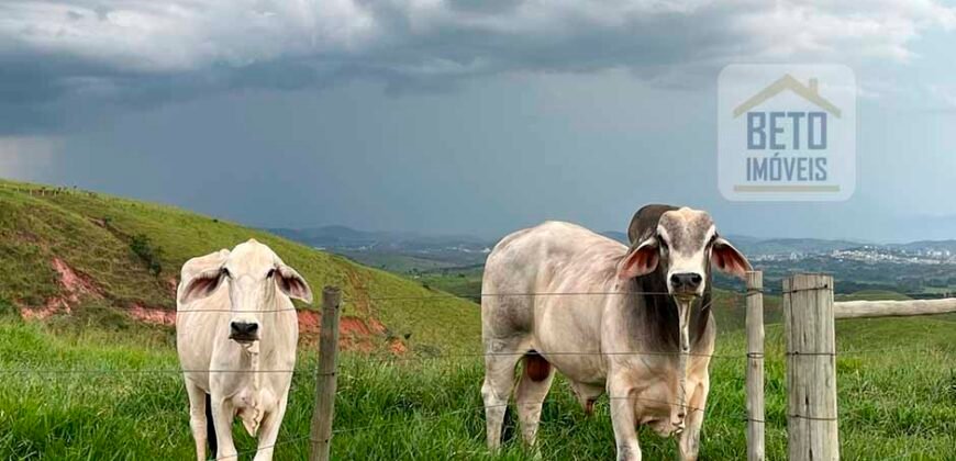 Linda Fazenda com Estrutura de laser completa 206 has Represa e água mineral | Guaratinguetá/ SP Linda Fazenda com Estrutura de laser completa 206 has Represa e água mineral | Guaratinguetá/ SP