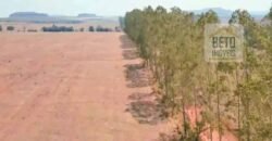 Oportunidade Única! Fazenda de 15 mil hectares em Pindorama do Tocantins/ TO Oportunidade Única! Fazenda de 15 mil hectares em Pindorama do Tocantins/ TO