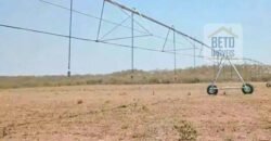 Oportunidade Única! Fazenda de 15 mil hectares em Pindorama do Tocantins/ TO Oportunidade Única! Fazenda de 15 mil hectares em Pindorama do Tocantins/ TO