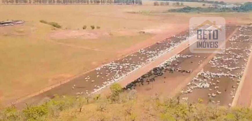 Oportunidade Única! Fazenda de 15 mil hectares em Pindorama do Tocantins/ TO Oportunidade Única! Fazenda de 15 mil hectares em Pindorama do Tocantins/ TO