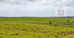 Excelente Fazenda à venda com toda infra-estrutura 4.646 hectares Pista de pouso e Ótima localização | Paragominas/ PA