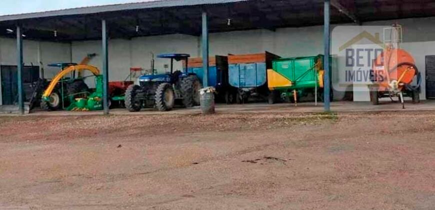 Excelente Fazenda à venda com toda infra-estrutura 4.646 hectares Pista de pouso e Ótima localização | Paragominas/ PA