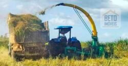 Excelente Fazenda à venda com toda infra-estrutura 4.646 hectares Pista de pouso e Ótima localização | Paragominas/ PA