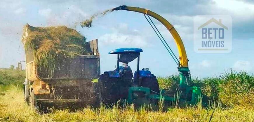 Excelente Fazenda à venda com toda infra-estrutura 4.646 hectares Pista de pouso e Ótima localização | Paragominas/ PA