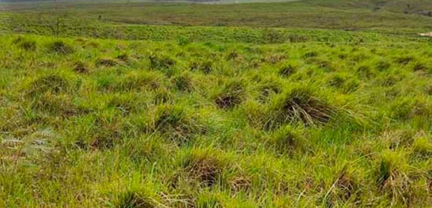 Excelente Fazenda à venda com toda infra-estrutura 4.646 hectares Pista de pouso e Ótima localização | Paragominas/ PA