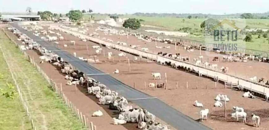 Excelente Fazenda à venda com toda infra-estrutura 4.646 hectares Pista de pouso e Ótima localização | Paragominas/ PA