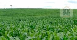 Excelente Fazenda à venda com toda infra-estrutura 4.646 hectares Pista de pouso e Ótima localização | Paragominas/ PA