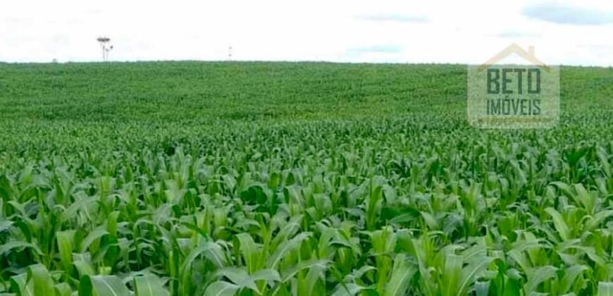 Excelente Fazenda à venda com toda infra-estrutura 4.646 hectares Pista de pouso e Ótima localização | Paragominas/ PA