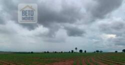 OPORTUNIDADE ÚNICA! Fazenda 1.016 Alqueires com Logística Completa e Pista de pouso | Ourinhos/ SP