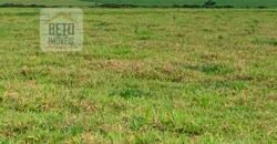 OPORTUNIDADE ÚNICA! Fazenda 1.016 Alqueires com Logística Completa e Pista de pouso | Ourinhos/ SP