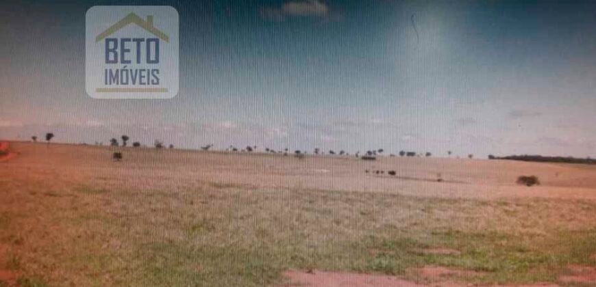 OPORTUNIDADE ÚNICA! Fazenda 1.016 Alqueires com Logística Completa e Pista de pouso | Ourinhos/ SP