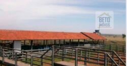 OPORTUNIDADE ÚNICA! Fazenda 1.016 Alqueires com Logística Completa e Pista de pouso | Ourinhos/ SP