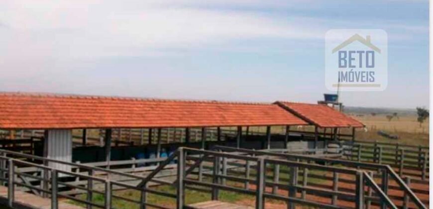 OPORTUNIDADE ÚNICA! Fazenda 1.016 Alqueires com Logística Completa e Pista de pouso | Ourinhos/ SP