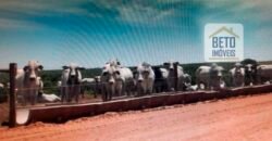 OPORTUNIDADE ÚNICA! Fazenda 1.016 Alqueires com Logística Completa e Pista de pouso | Ourinhos/ SP