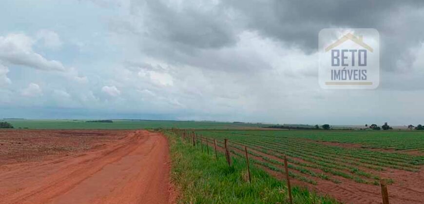 OPORTUNIDADE ÚNICA! Fazenda 1.016 Alqueires com Logística Completa e Pista de pouso | Ourinhos/ SP