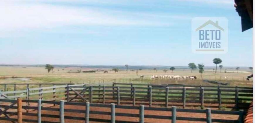 OPORTUNIDADE ÚNICA! Fazenda 1.016 Alqueires com Logística Completa e Pista de pouso | Ourinhos/ SP