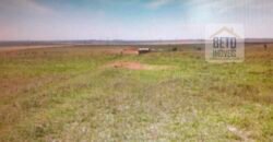 OPORTUNIDADE ÚNICA! Fazenda 1.016 Alqueires com Logística Completa e Pista de pouso | Ourinhos/ SP