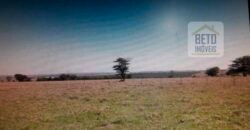 OPORTUNIDADE ÚNICA! Fazenda 1.016 Alqueires com Logística Completa e Pista de pouso | Ourinhos/ SP