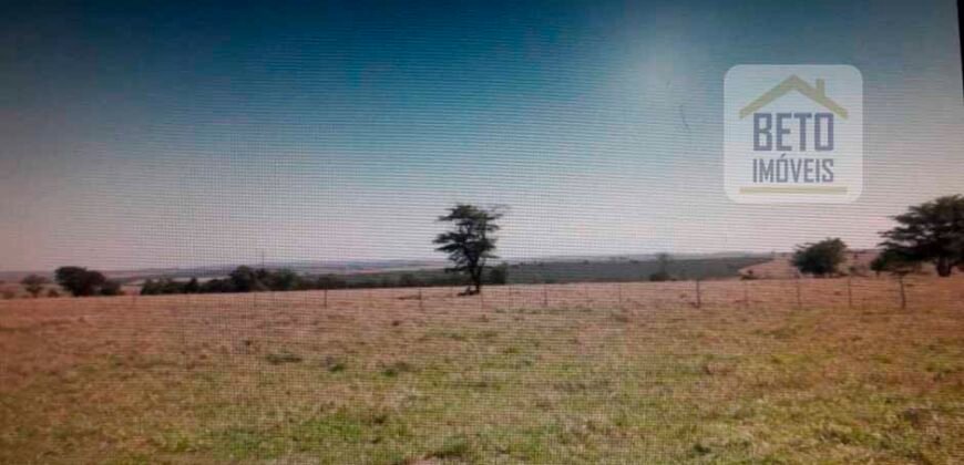 OPORTUNIDADE ÚNICA! Fazenda 1.016 Alqueires com Logística Completa e Pista de pouso | Ourinhos/ SP