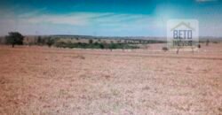 OPORTUNIDADE ÚNICA! Fazenda 1.016 Alqueires com Logística Completa e Pista de pouso | Ourinhos/ SP