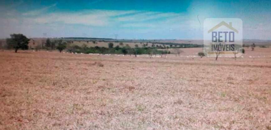 OPORTUNIDADE ÚNICA! Fazenda 1.016 Alqueires com Logística Completa e Pista de pouso | Ourinhos/ SP