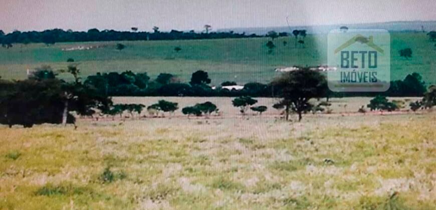 OPORTUNIDADE ÚNICA! Fazenda 1.016 Alqueires com Logística Completa e Pista de pouso | Ourinhos/ SP