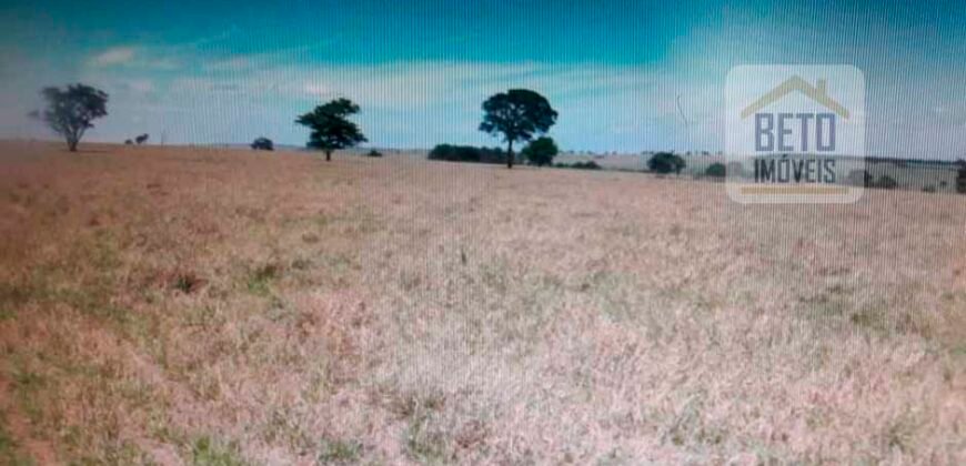 OPORTUNIDADE ÚNICA! Fazenda 1.016 Alqueires com Logística Completa e Pista de pouso | Ourinhos/ SP