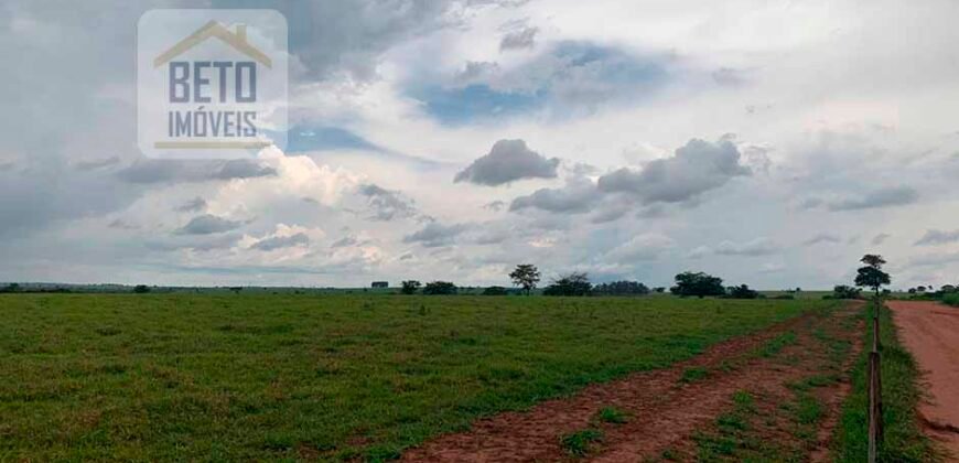 OPORTUNIDADE ÚNICA! Fazenda 1.016 Alqueires com Logística Completa e Pista de pouso | Ourinhos/ SP
