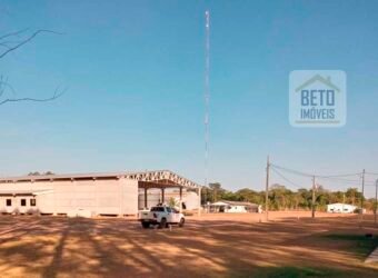 Ótima Fazenda Lavoura e Pecuária à venda Excelente estrutura e Pista de pouso | Confresa/ MT