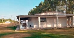 Ótima Fazenda Lavoura e Pecuária à venda Excelente estrutura e Pista de pouso | Confresa/ MT