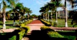 Excelente Fazenda 38.420 ha Pecuária e Mineradora Pista de pouso e hangar | Cocalinhos/ MT Excelente Fazenda 38.420 ha Pecuária e Mineradora Pista de pouso e hangar | Cocalinhos/ MT