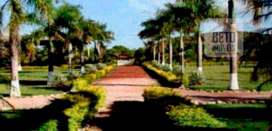 Excelente Fazenda 38.420 ha Pecuária e Mineradora Pista de pouso e hangar | Cocalinhos/ MT Excelente Fazenda 38.420 ha Pecuária e Mineradora Pista de pouso e hangar | Cocalinhos/ MT