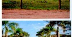 Excelente Fazenda 38.420 ha Pecuária e Mineradora Pista de pouso e hangar | Cocalinhos/ MT Excelente Fazenda 38.420 ha Pecuária e Mineradora Pista de pouso e hangar | Cocalinhos/ MT