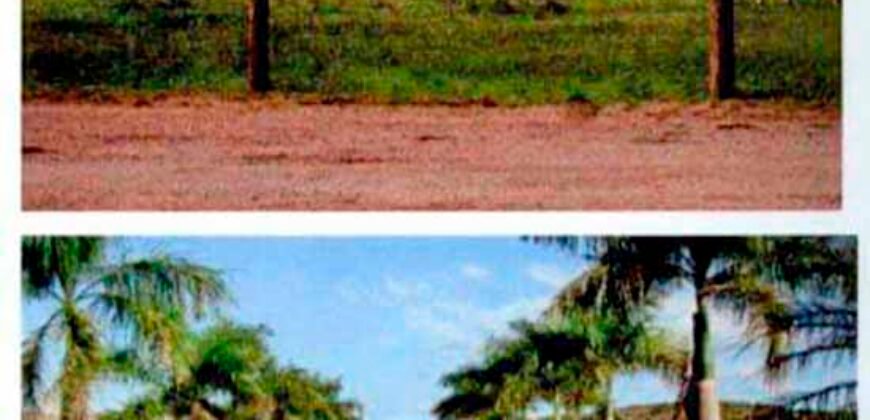 Excelente Fazenda 38.420 ha Pecuária e Mineradora Pista de pouso e hangar | Cocalinhos/ MT Excelente Fazenda 38.420 ha Pecuária e Mineradora Pista de pouso e hangar | Cocalinhos/ MT