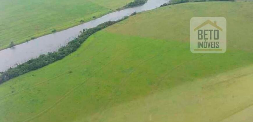 Excelente Fazenda 38.420 ha Pecuária e Mineradora Pista de pouso e hangar | Cocalinhos/ MT Excelente Fazenda 38.420 ha Pecuária e Mineradora Pista de pouso e hangar | Cocalinhos/ MT