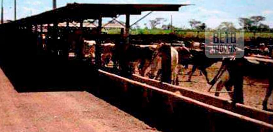 Excelente Fazenda 38.420 ha Pecuária e Mineradora Pista de pouso e hangar | Cocalinhos/ MT Excelente Fazenda 38.420 ha Pecuária e Mineradora Pista de pouso e hangar | Cocalinhos/ MT