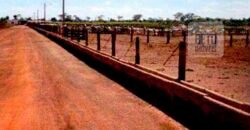 Excelente Fazenda 38.420 ha Pecuária e Mineradora Pista de pouso e hangar | Cocalinhos/ MT Excelente Fazenda 38.420 ha Pecuária e Mineradora Pista de pouso e hangar | Cocalinhos/ MT