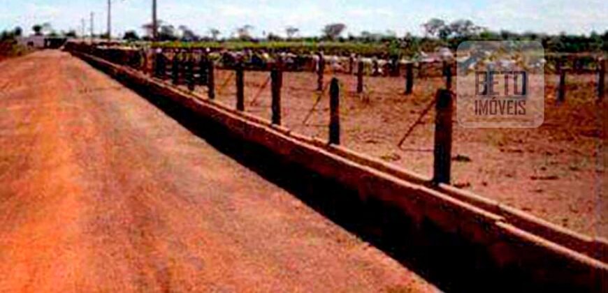 Excelente Fazenda 38.420 ha Pecuária e Mineradora Pista de pouso e hangar | Cocalinhos/ MT Excelente Fazenda 38.420 ha Pecuária e Mineradora Pista de pouso e hangar | Cocalinhos/ MT