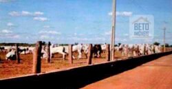 Excelente Fazenda 38.420 ha Pecuária e Mineradora Pista de pouso e hangar | Cocalinhos/ MT Excelente Fazenda 38.420 ha Pecuária e Mineradora Pista de pouso e hangar | Cocalinhos/ MT