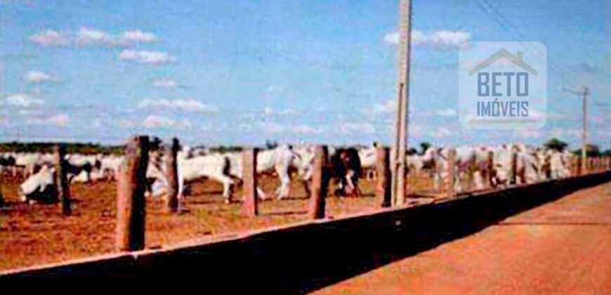 Excelente Fazenda 38.420 ha Pecuária e Mineradora Pista de pouso e hangar | Cocalinhos/ MT Excelente Fazenda 38.420 ha Pecuária e Mineradora Pista de pouso e hangar | Cocalinhos/ MT