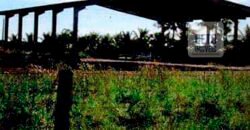 Excelente Fazenda 38.420 ha Pecuária e Mineradora Pista de pouso e hangar | Cocalinhos/ MT Excelente Fazenda 38.420 ha Pecuária e Mineradora Pista de pouso e hangar | Cocalinhos/ MT