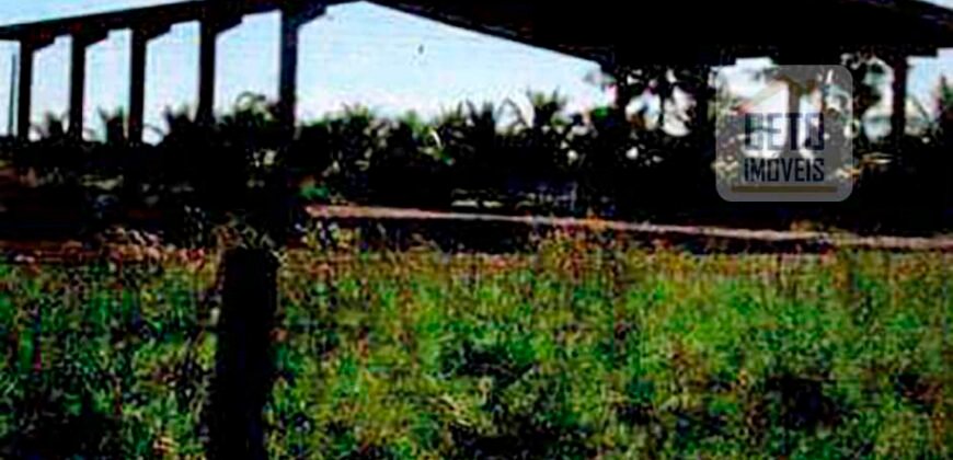 Excelente Fazenda 38.420 ha Pecuária e Mineradora Pista de pouso e hangar | Cocalinhos/ MT Excelente Fazenda 38.420 ha Pecuária e Mineradora Pista de pouso e hangar | Cocalinhos/ MT