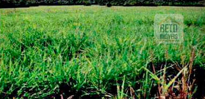 Excelente Fazenda 38.420 ha Pecuária e Mineradora Pista de pouso e hangar | Cocalinhos/ MT Excelente Fazenda 38.420 ha Pecuária e Mineradora Pista de pouso e hangar | Cocalinhos/ MT