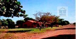 Excelente Fazenda 38.420 ha Pecuária e Mineradora Pista de pouso e hangar | Cocalinhos/ MT Excelente Fazenda 38.420 ha Pecuária e Mineradora Pista de pouso e hangar | Cocalinhos/ MT