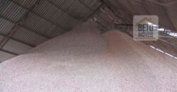 Excelente Fazenda 38.420 ha Pecuária e Mineradora Pista de pouso e hangar | Cocalinhos/ MT Excelente Fazenda 38.420 ha Pecuária e Mineradora Pista de pouso e hangar | Cocalinhos/ MT