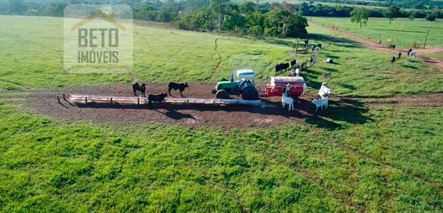 Oportunidade Imperdível! Fazenda à venda Localização Estratégica e Infraestrutura Completa | Paranatinga/ MT Oportunidade Imperdível! Fazenda à venda Localização Estratégica e Infraestrutura Completa | Paranatinga/ MT